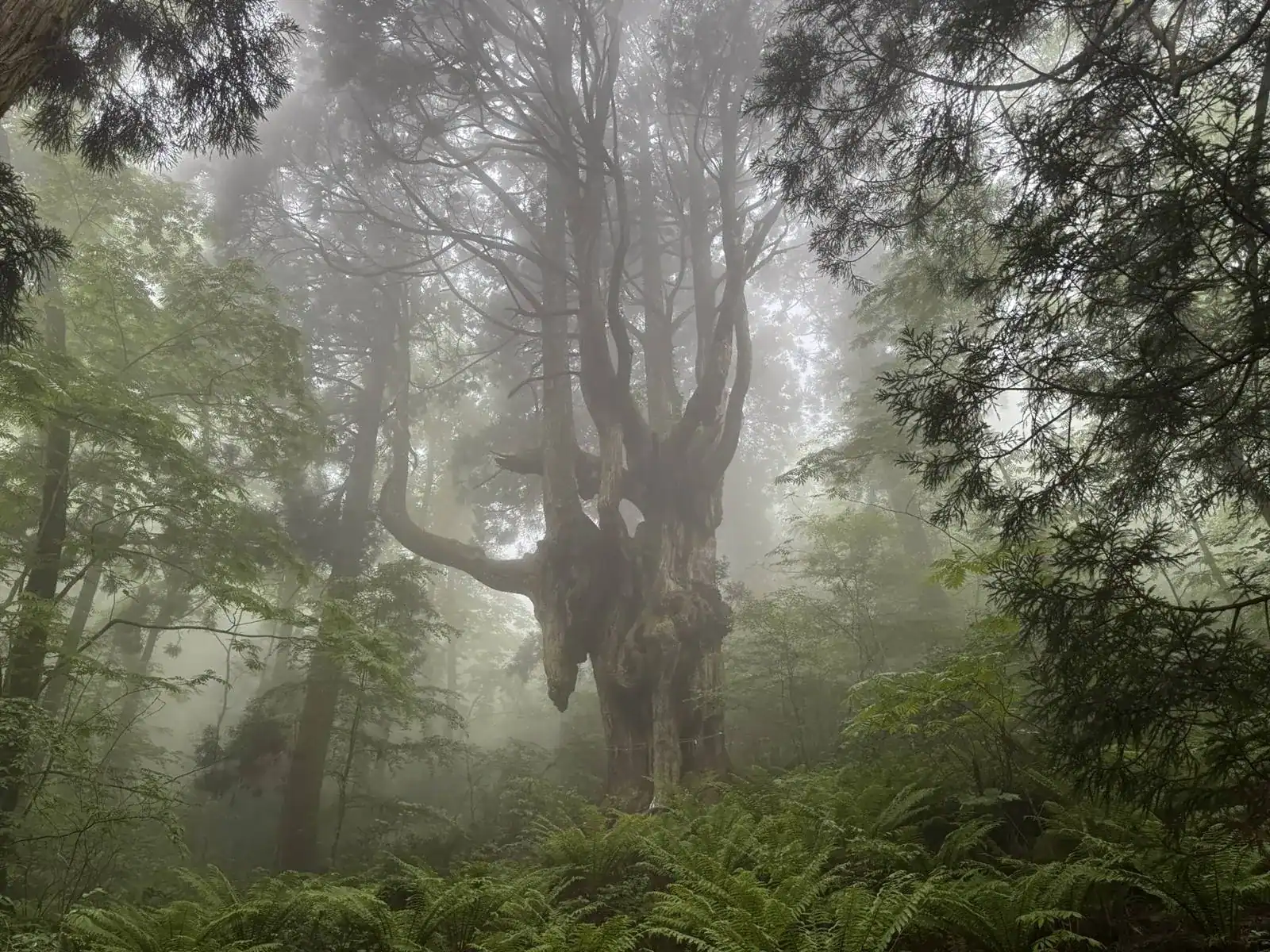 隠岐の風景
