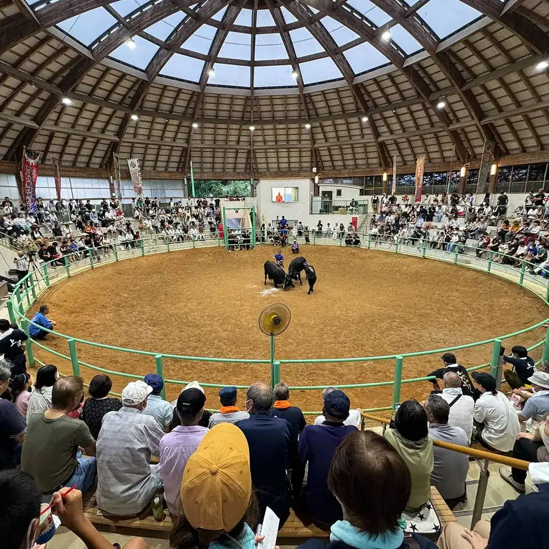 島内向けサービスのイメージ