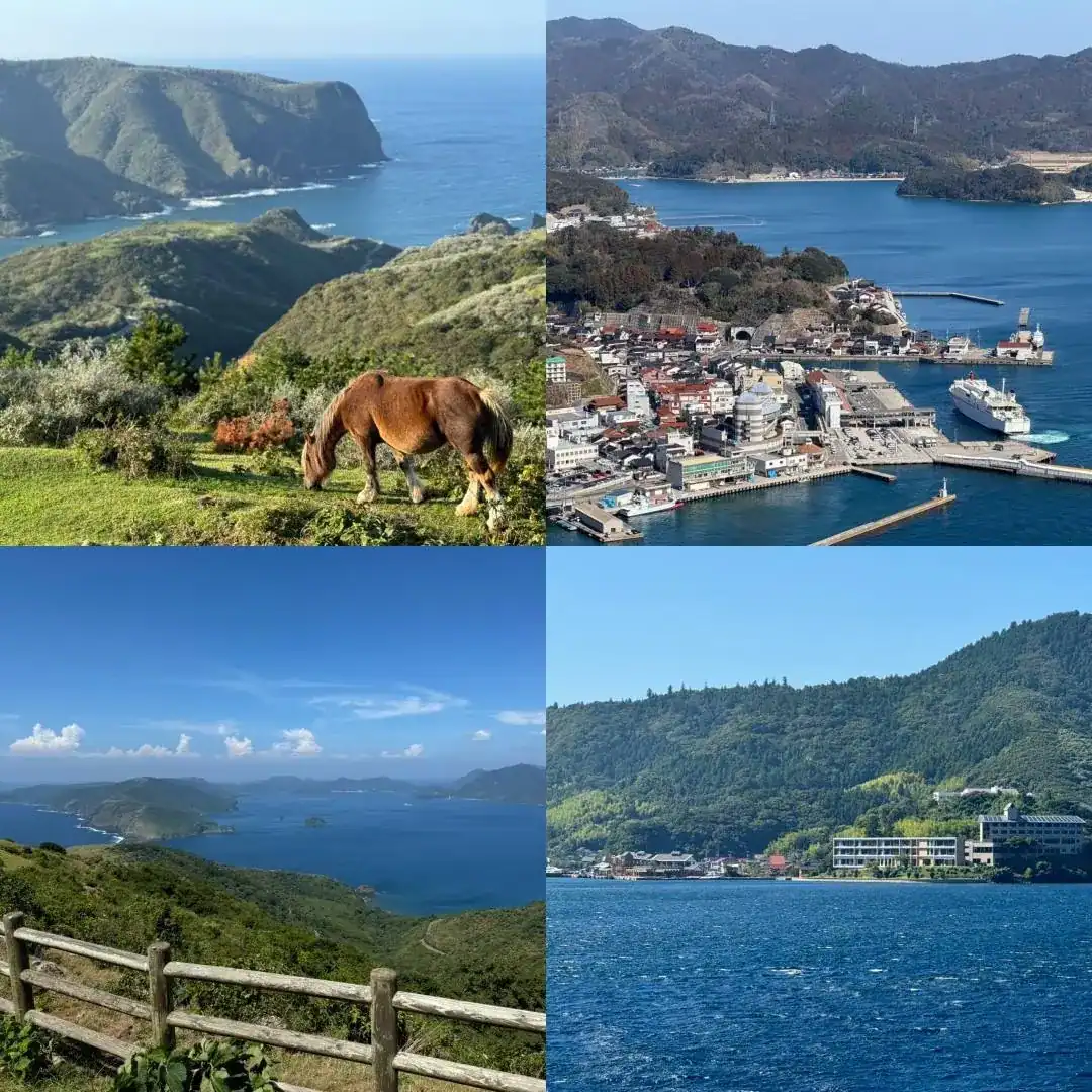 島外向けサービスのイメージ